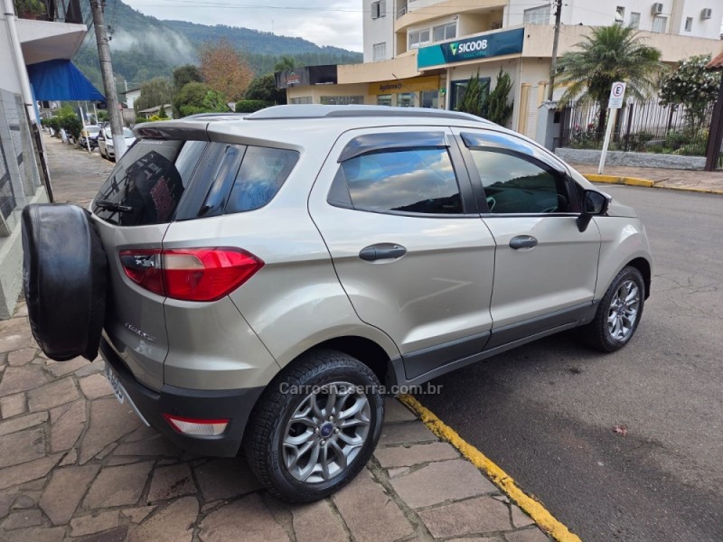 ECOSPORT 1.6 FREESTYLE 8V FLEX 4P MANUAL - 2014 - PICADA CAFé