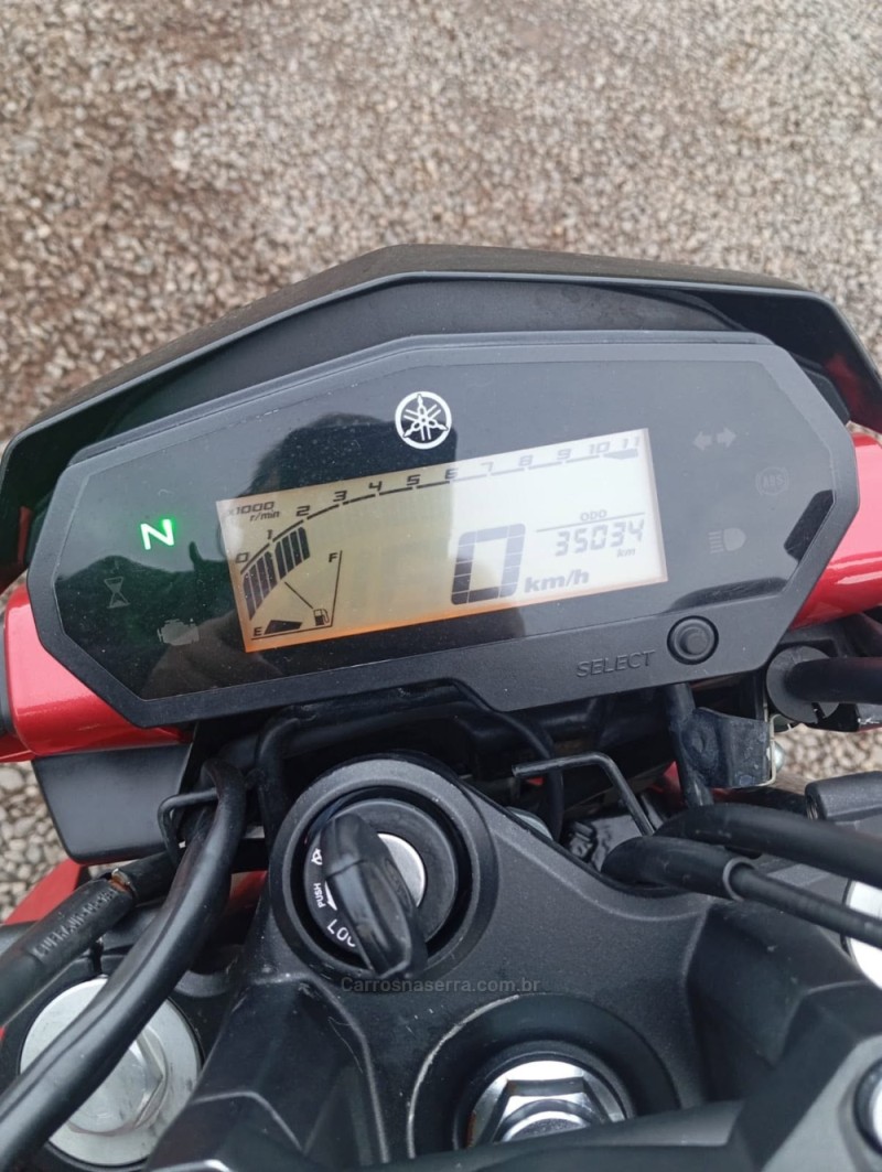 FAZER FZ25 - 2020 - PICADA CAFé