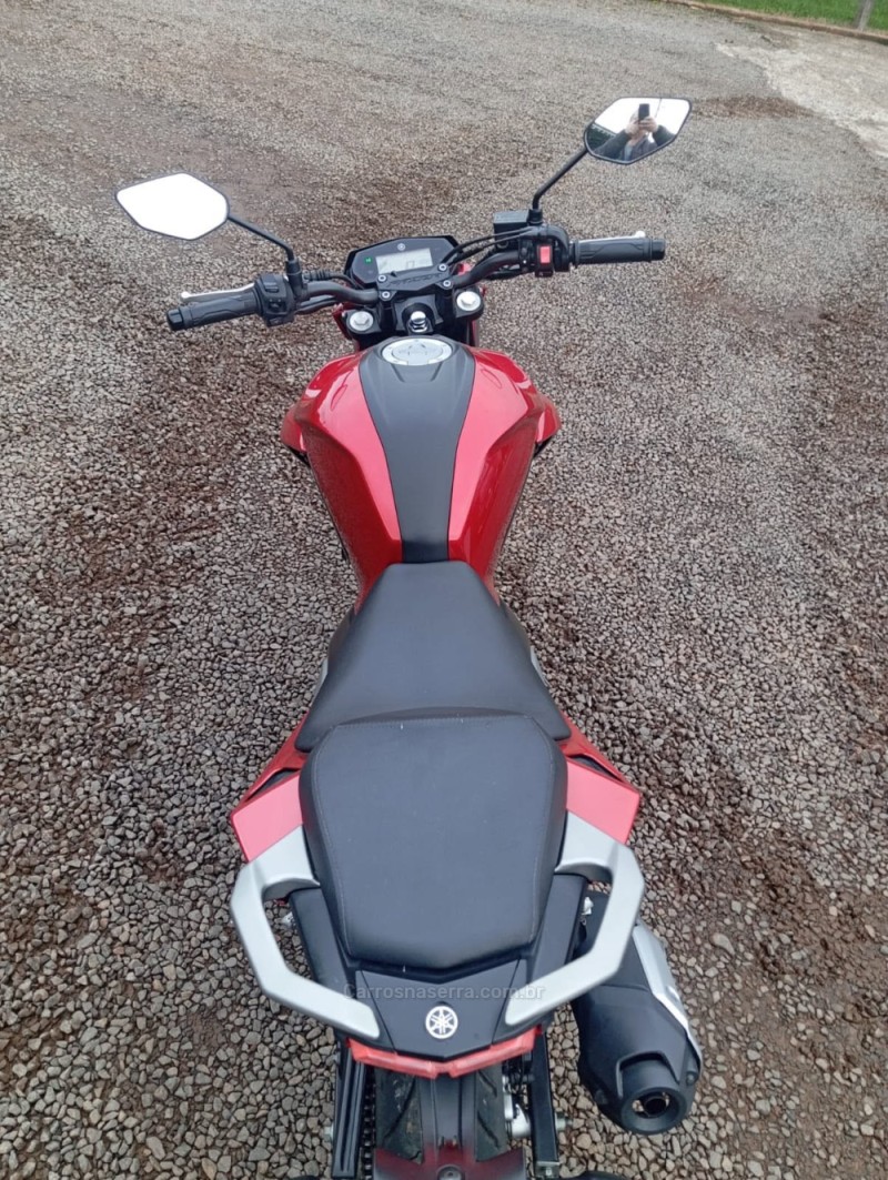 FAZER FZ25 - 2020 - PICADA CAFé