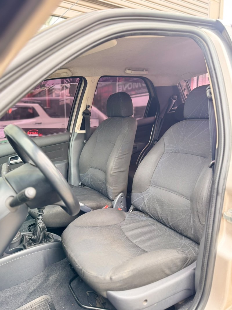 PALIO 1.4 MPI ELX 8V FLEX 4P MANUAL - 2010 - CAXIAS DO SUL