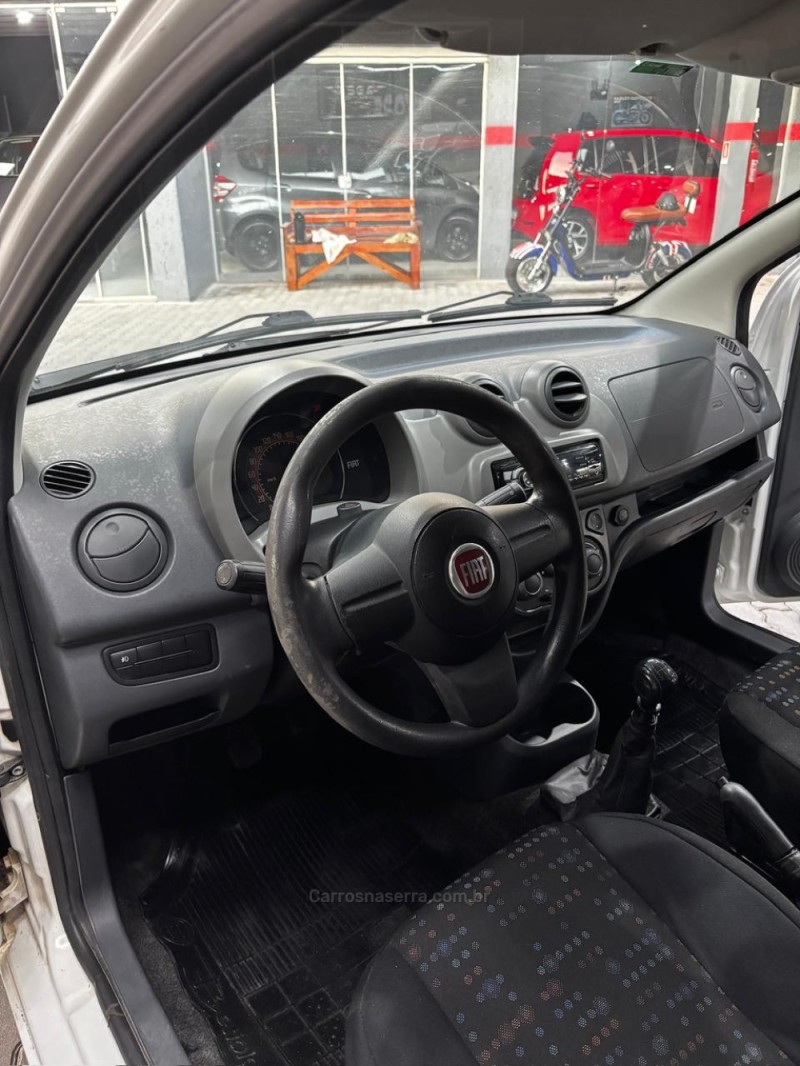 FIORINO  - 2019 - HARMONIA