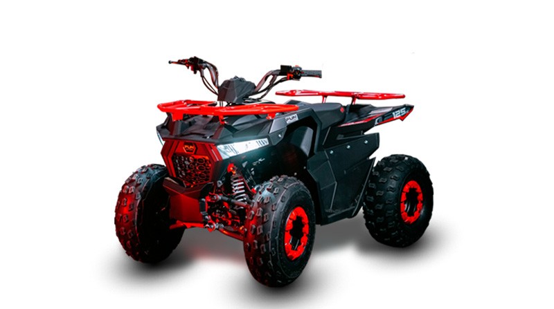 SHARK 125CC - 2026 - VERANóPOLIS