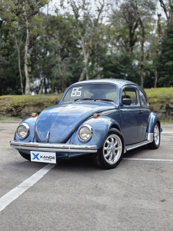 FUSCA 1.6 8V GASOLINA 2P MANUAL - 1985 - FLORES DA CUNHA