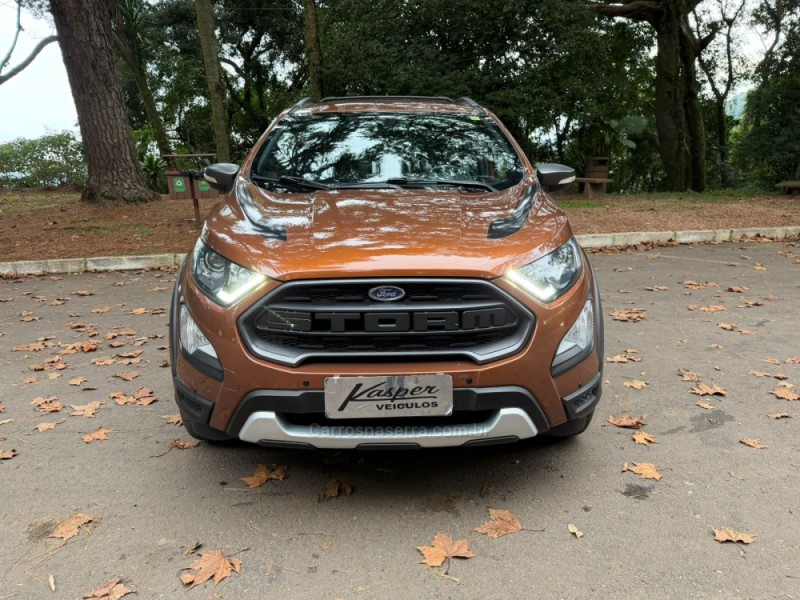 ECOSPORT 2.0 STORM 4WD 16V FLEX 4P AUTOMÁTICO - 2019 - DOIS IRMãOS