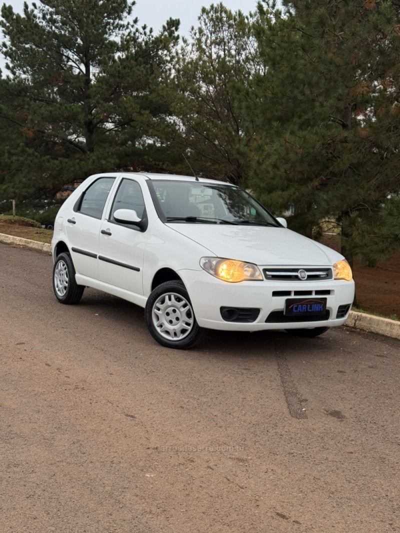 PALIO 1.0 MPI FIRE ECONOMY 8V FLEX 4P MANUAL - 2013 - VACARIA