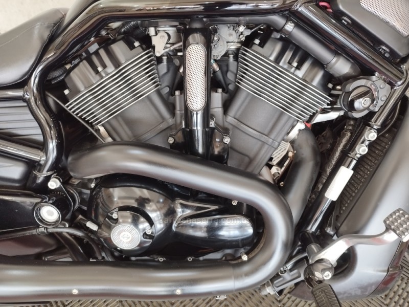 V ROD NIGHT ROD ESPECIAL - 2015 - NOVO HAMBURGO