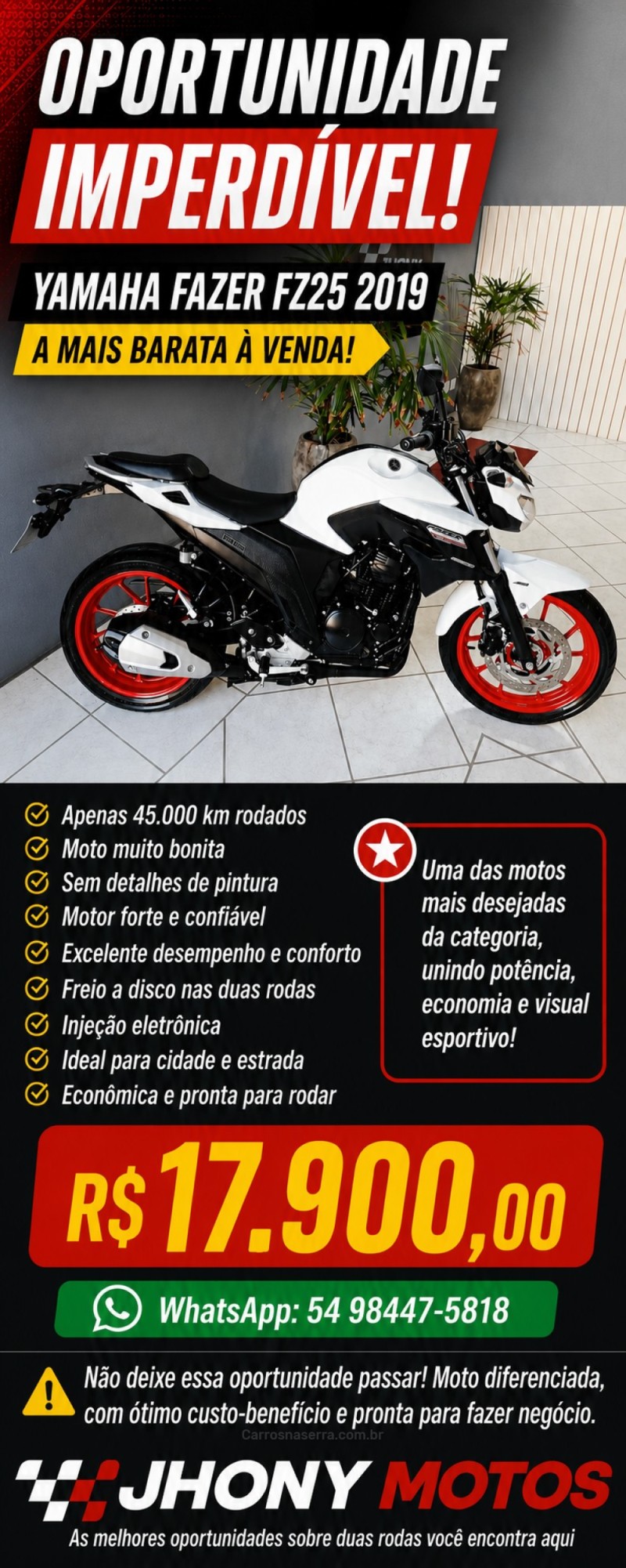 fazer fz25 2019 caxias do sul