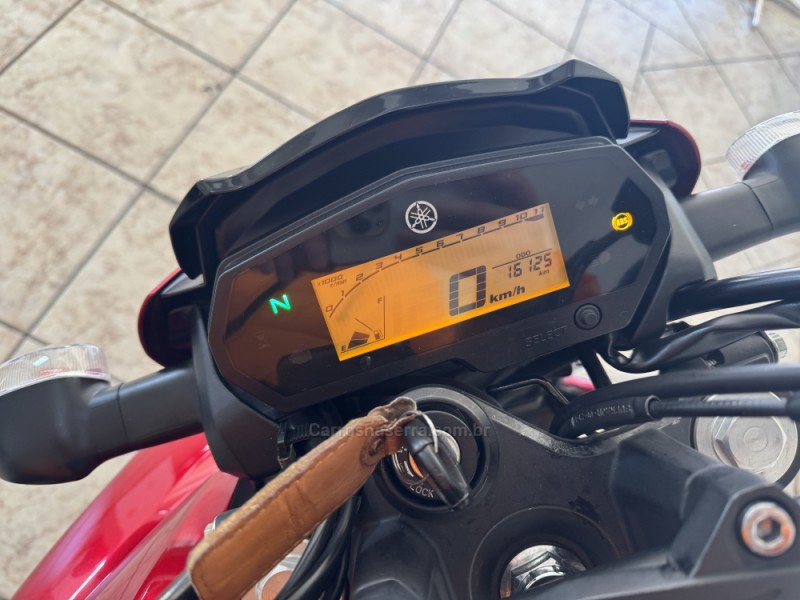 FAZER FZ25 - 2022 - GARIBALDI