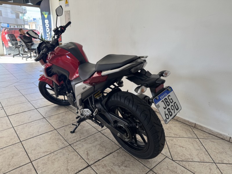 FAZER FZ25 - 2022 - GARIBALDI