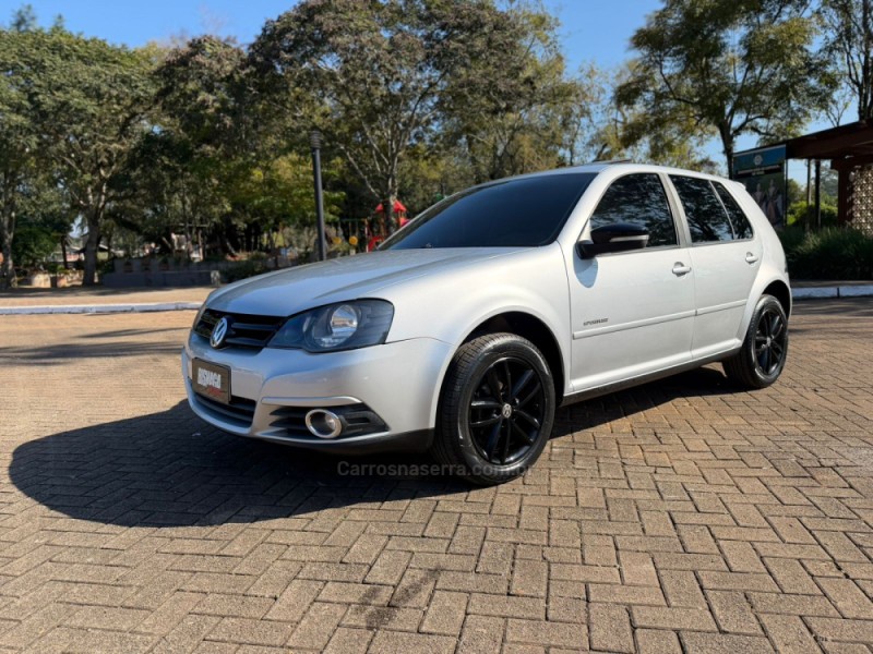 golf 1.6 mi sportline limited edition 8v flex 4p manual 2013 brochier