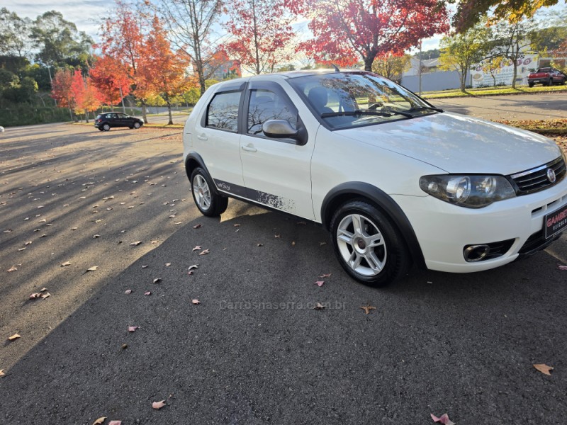 palio 1.0 mpi fire way 8v flex 4p manual 2016 bento goncalves