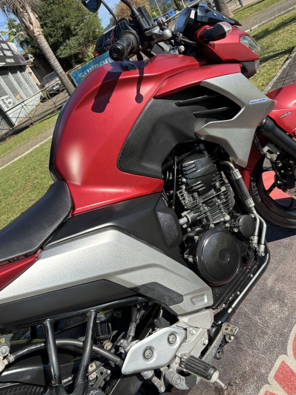 FAZER FZ25 ABS - 2019 - FELIZ