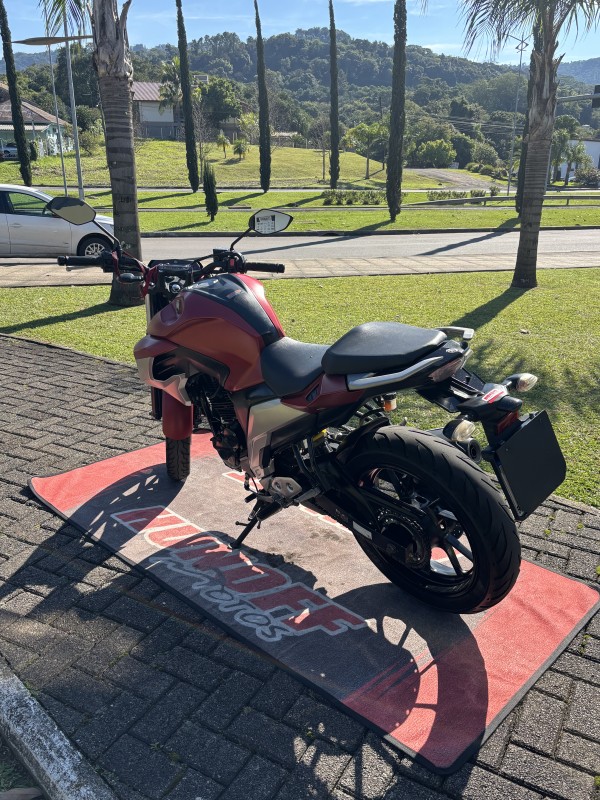 FAZER FZ25 ABS - 2019 - FELIZ