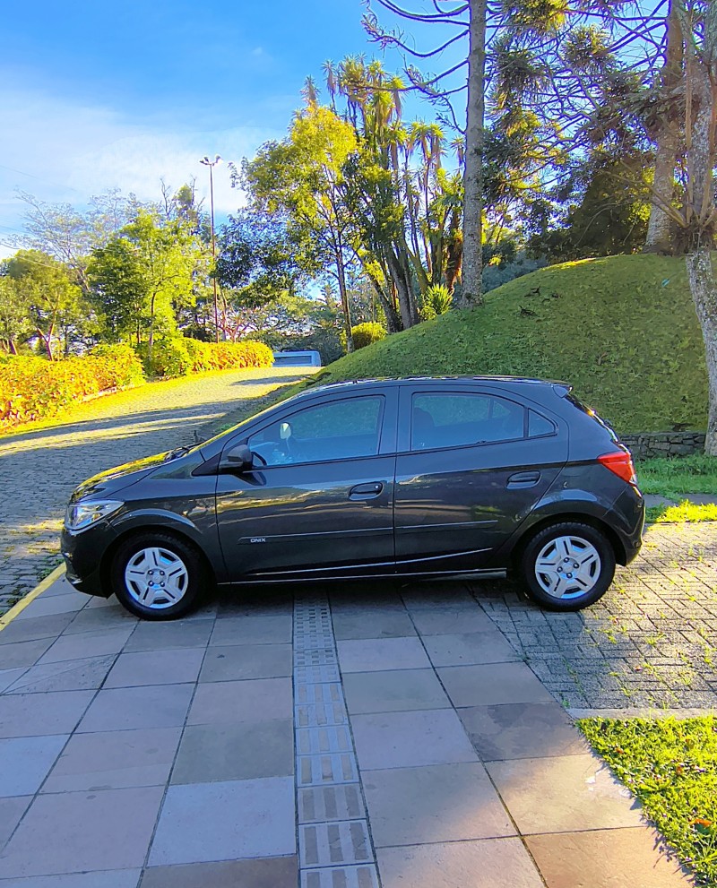 ONIX 1.0 JOY 8V FLEX 4P MANUAL - 2018 - FARROUPILHA