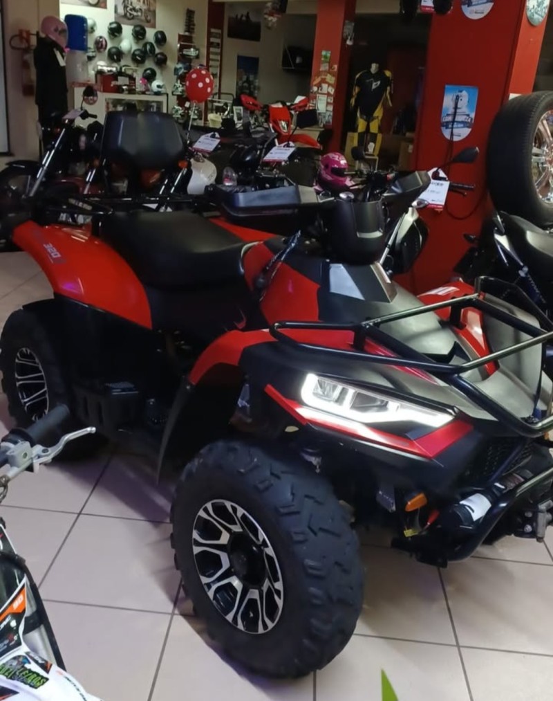 FOX 325  - 2023 - VERANóPOLIS