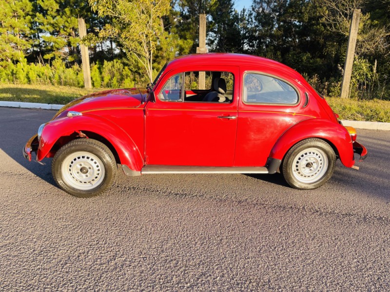 FUSCA 1.6 8V GASOLINA 2P MANUAL - 1995 - BENTO GONçALVES