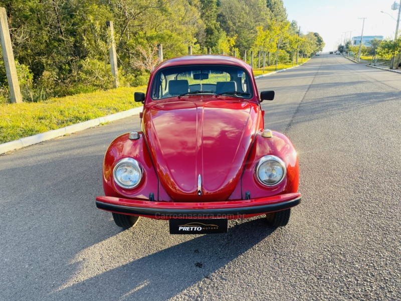 FUSCA 1.6 8V GASOLINA 2P MANUAL - 1995 - BENTO GONçALVES