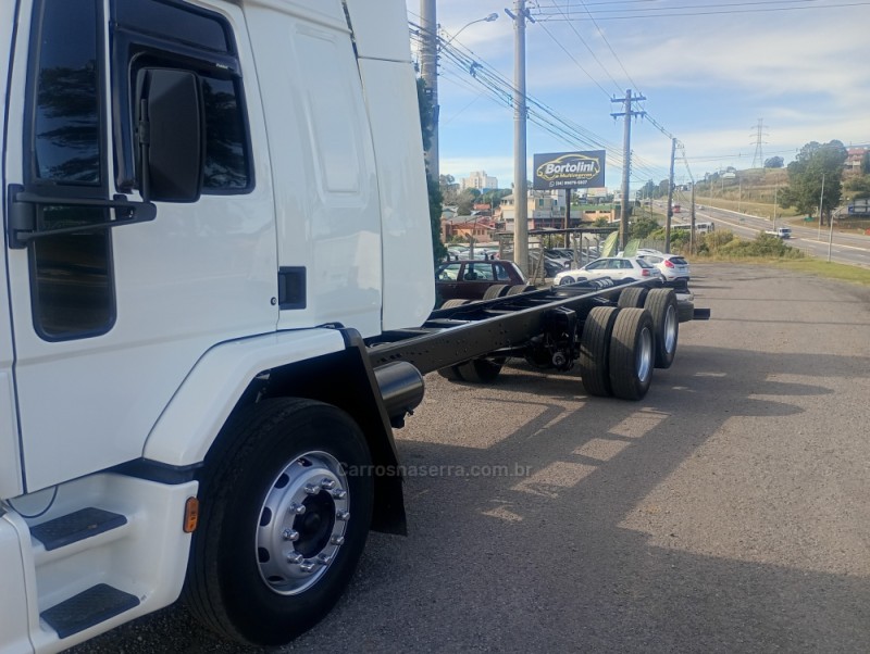 CARGO 2422 TOPLINE  - 2004 - FARROUPILHA