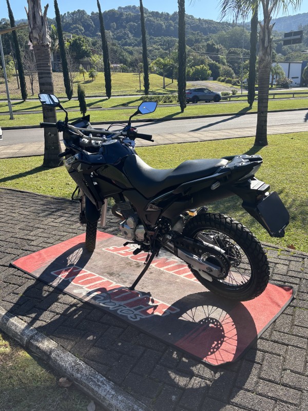 XRE 300  - 2019 - FELIZ