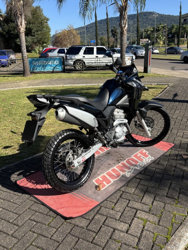 XRE 300  - 2019 - FELIZ