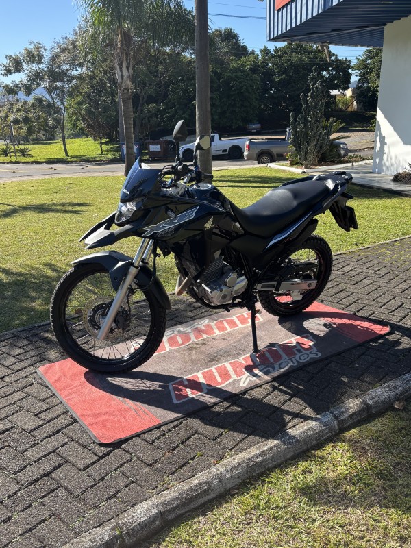 XRE 300  - 2019 - FELIZ