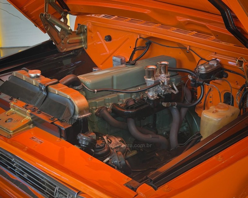 C10 4.1 CS 8V GASOLINA 2P MANUAL - 1978 - GARIBALDI