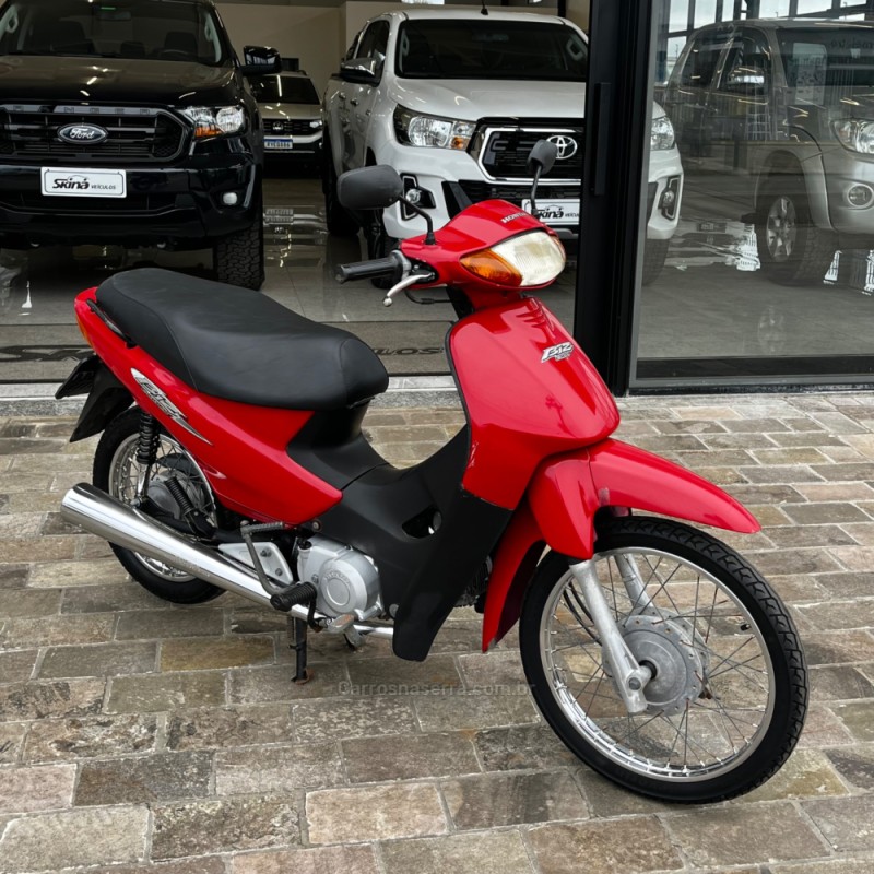 C 100 BIZ ES - 2005 - VACARIA