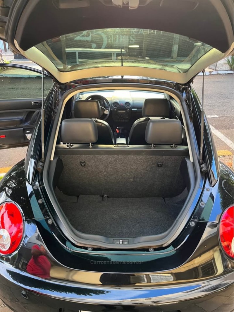 NEW BEETLE 2.0 MI 8V GASOLINA 2P AUTOMÁTICO - 2008 - TAPEJARA