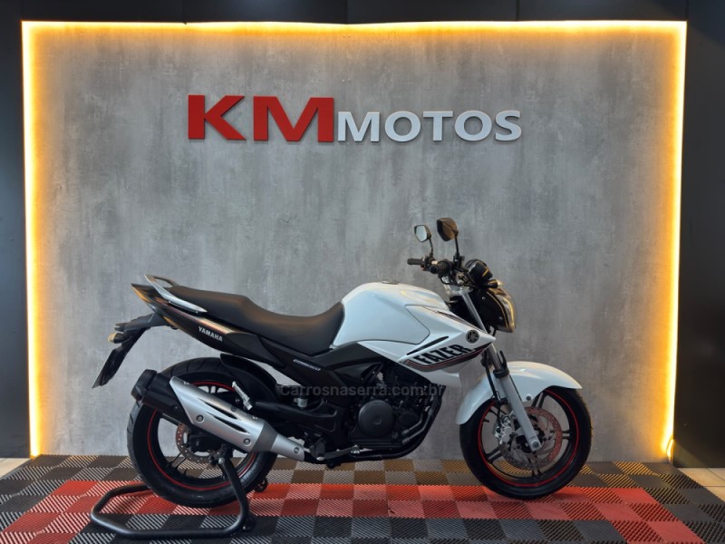 FAZER YS 250 BLUEFLEX - 2015 - PORTãO
