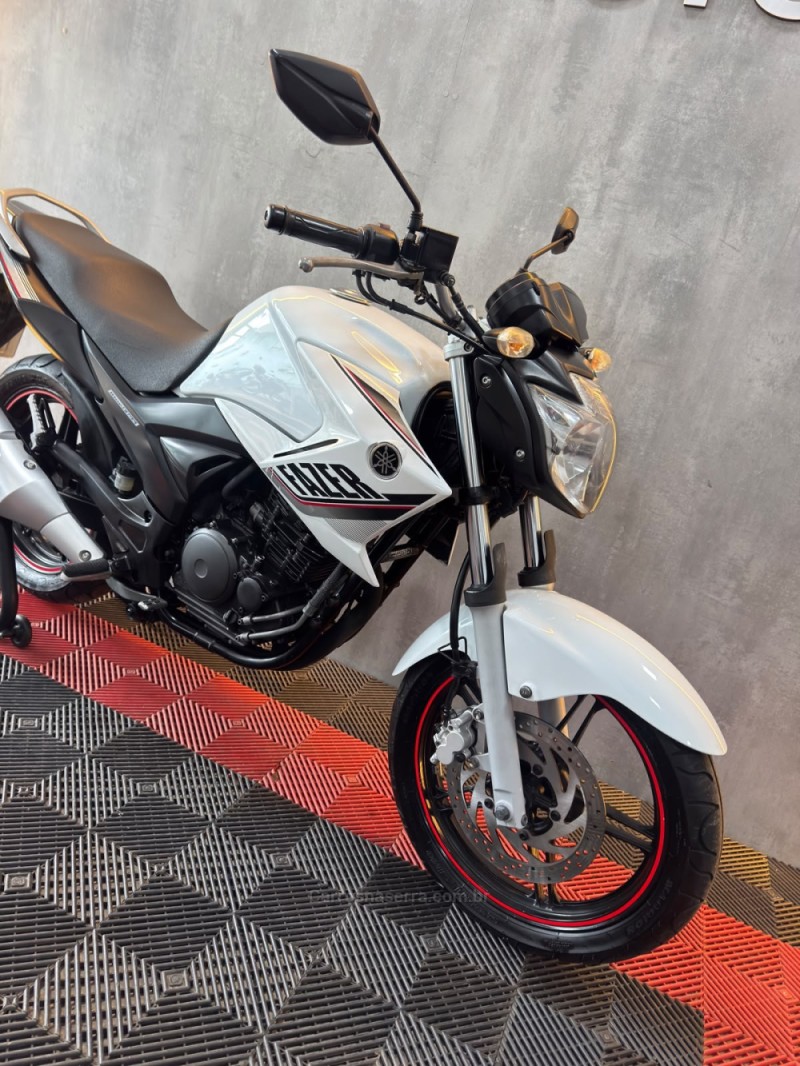 FAZER YS 250 BLUEFLEX - 2015 - PORTãO