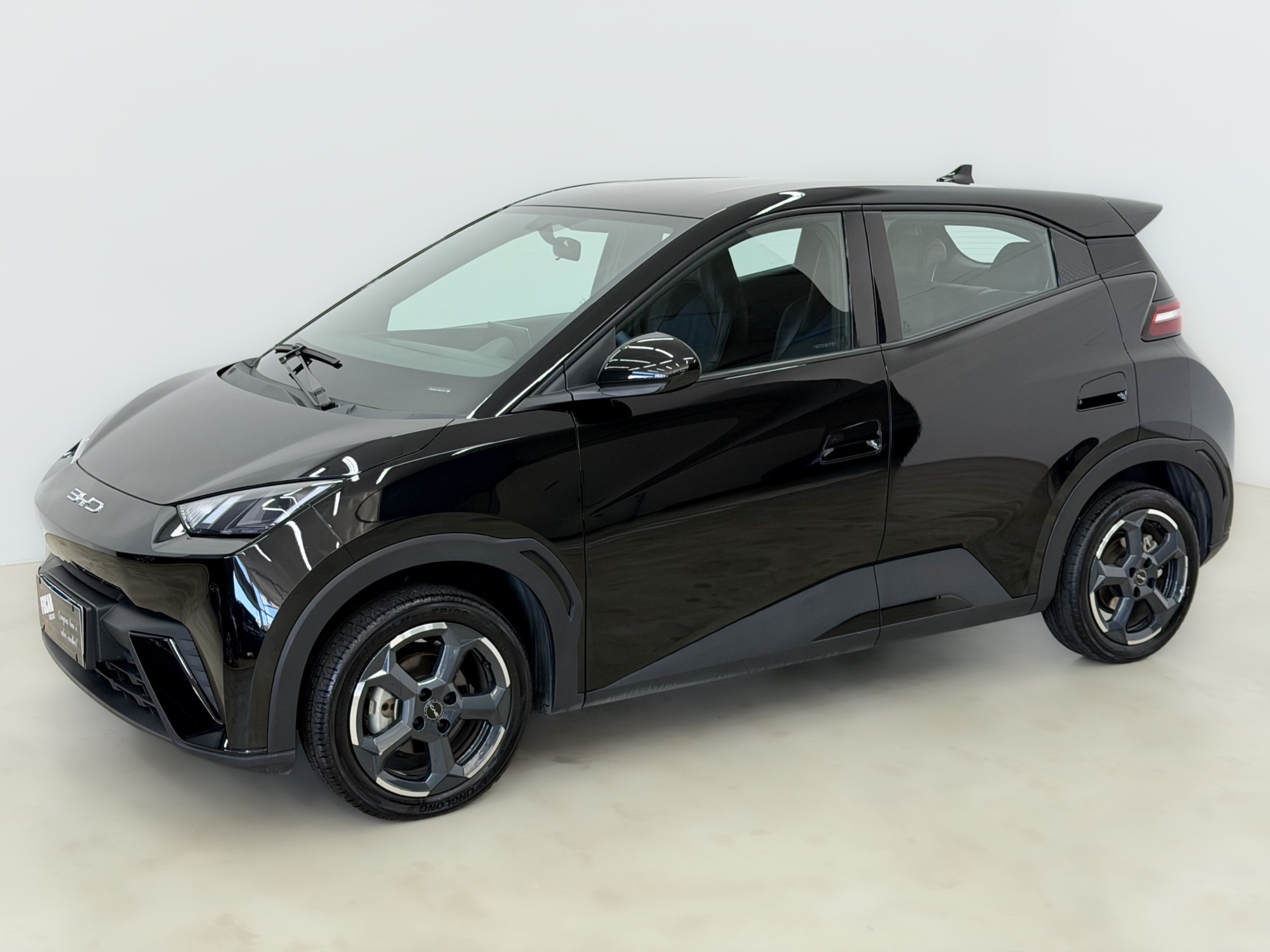 BYD DOLPHIN MINI — foto 2