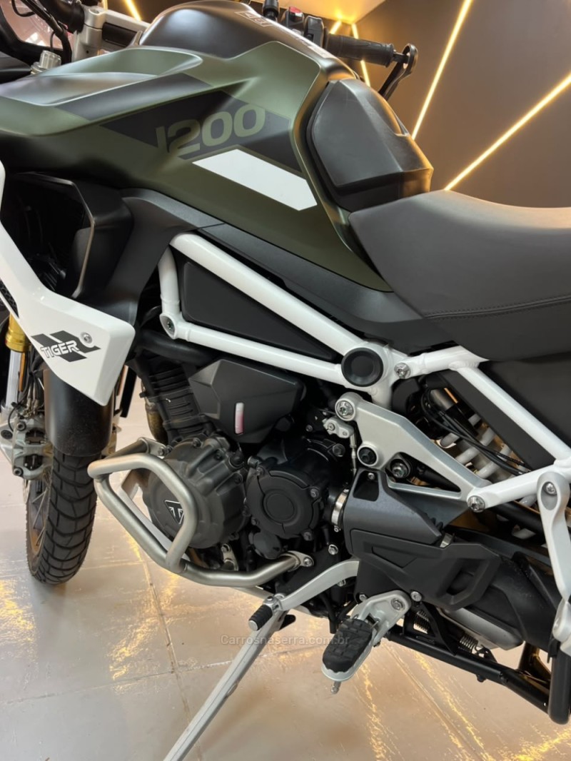 TIGER 1200 RALLY PRO  - 2023 - NOVO HAMBURGO