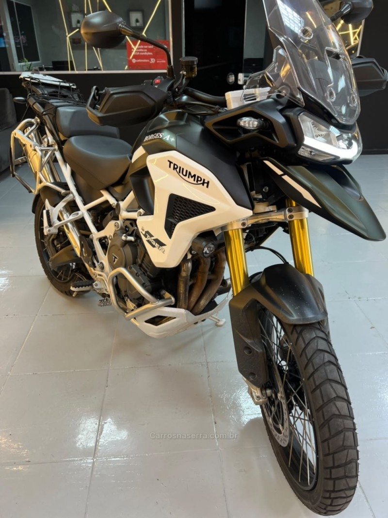 TIGER 1200 RALLY PRO  - 2023 - NOVO HAMBURGO