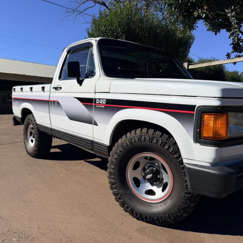 D20 4.0 CUSTOM S CS 8V DIESEL 2P MANUAL - 1988 - VACARIA