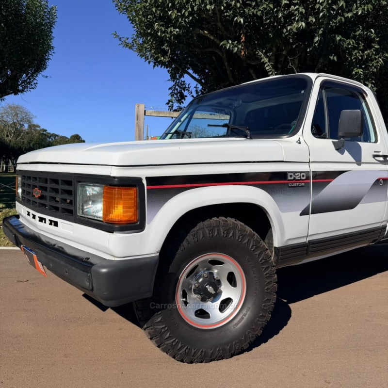 D20 4.0 CUSTOM S CS 8V DIESEL 2P MANUAL - 1988 - VACARIA