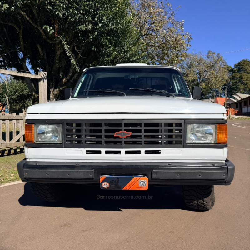 D20 4.0 CUSTOM S CS 8V DIESEL 2P MANUAL - 1988 - VACARIA