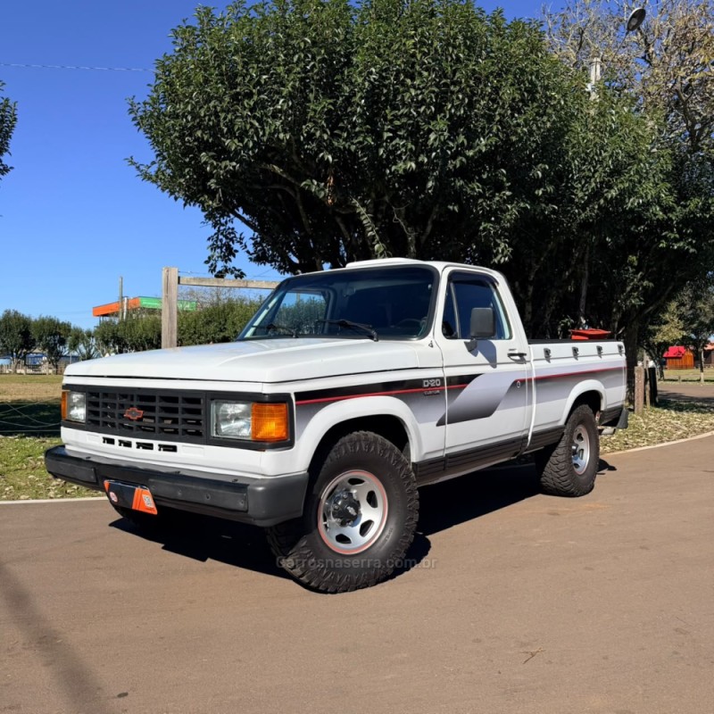 d20 4.0 custom s cs 8v diesel 2p manual 1988 vacaria