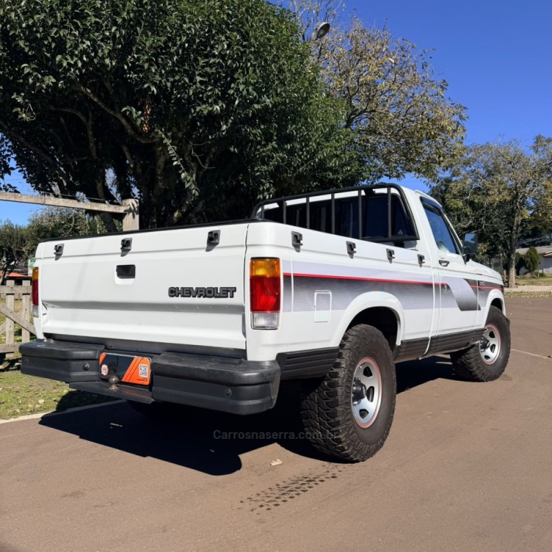 D20 4.0 CUSTOM S CS 8V DIESEL 2P MANUAL - 1988 - VACARIA