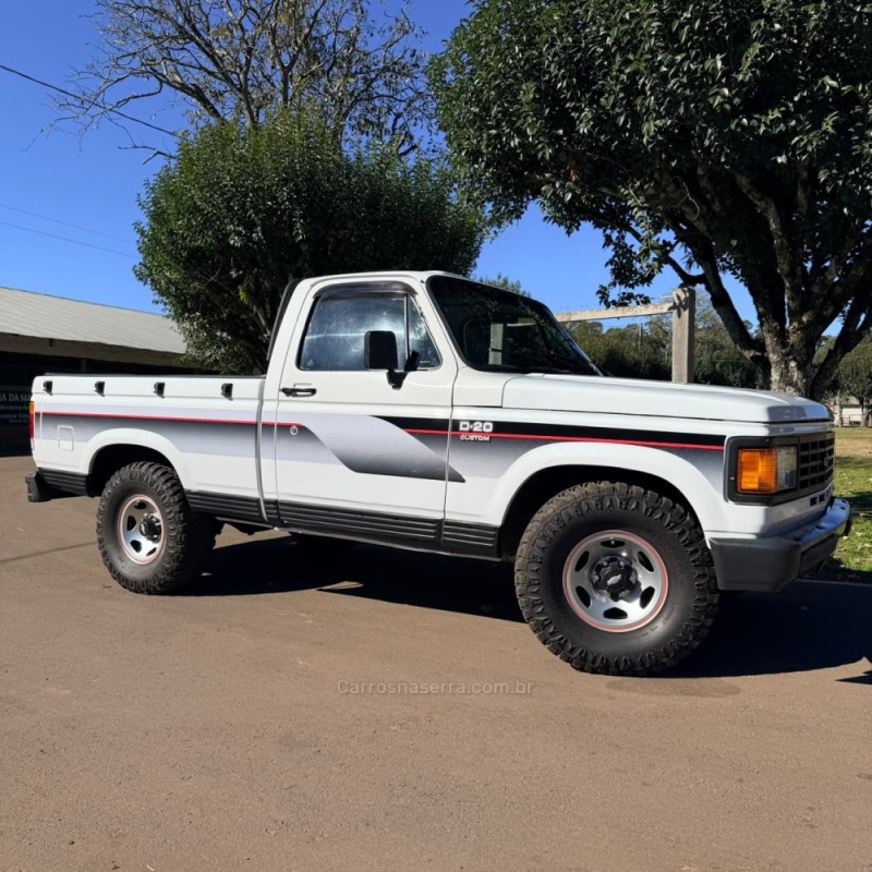 D20 4.0 CUSTOM S CS 8V DIESEL 2P MANUAL - 1988 - VACARIA