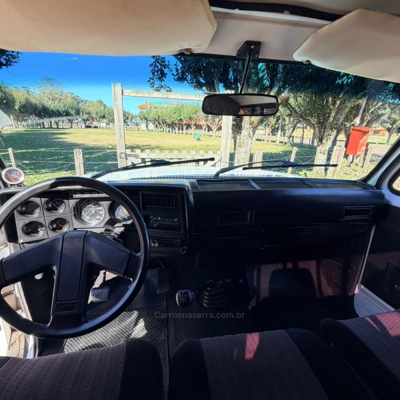 D20 4.0 CUSTOM S CS 8V DIESEL 2P MANUAL - 1988 - VACARIA