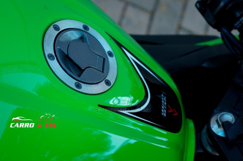 NINJA 300 ABS LIMITED EDITION - 2014 - SANTA CRUZ DO SUL