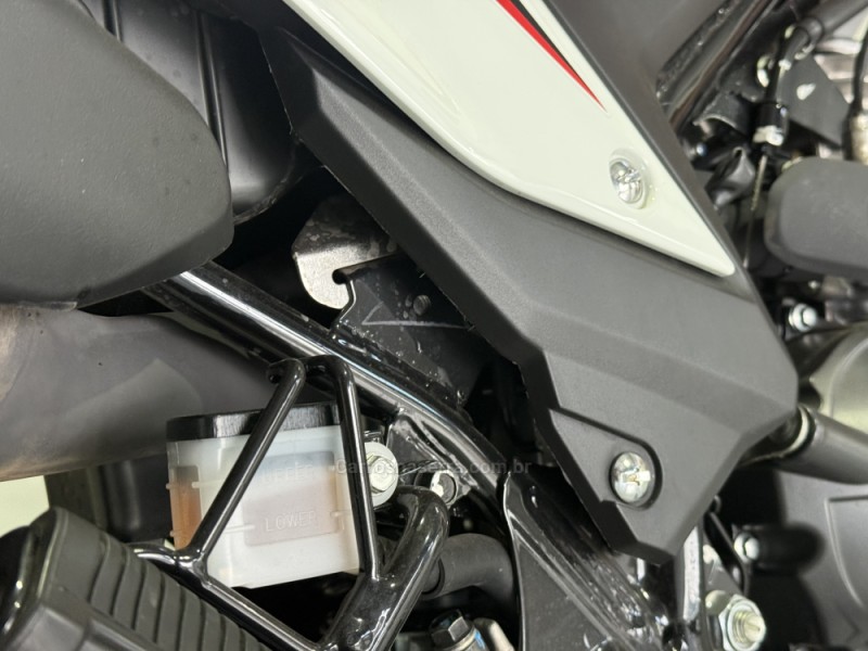 XR 300L TORNADO  - 2025 - GARIBALDI