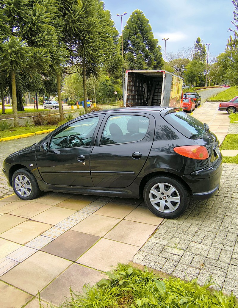 206 1.6 FELINE 16V FLEX 4P MANUAL - 2005 - FARROUPILHA