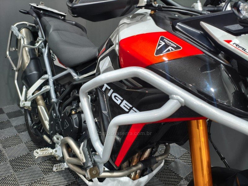 TIGER 900 RALLY PRO  - 2025 - NOVO HAMBURGO