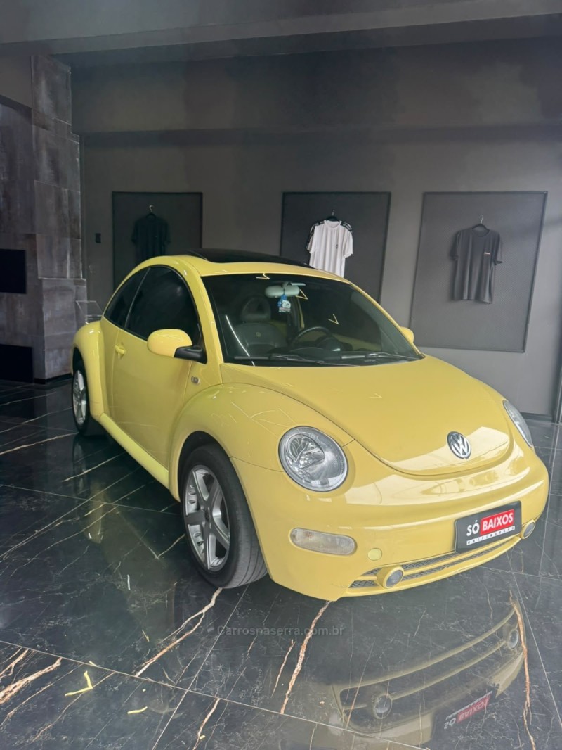 new beetle 2.0 mi 8v gasolina 2p automatico 2001 caxias do sul