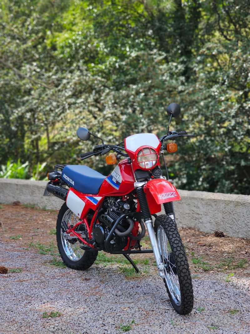 xlx 250r  1987 antonio prado
