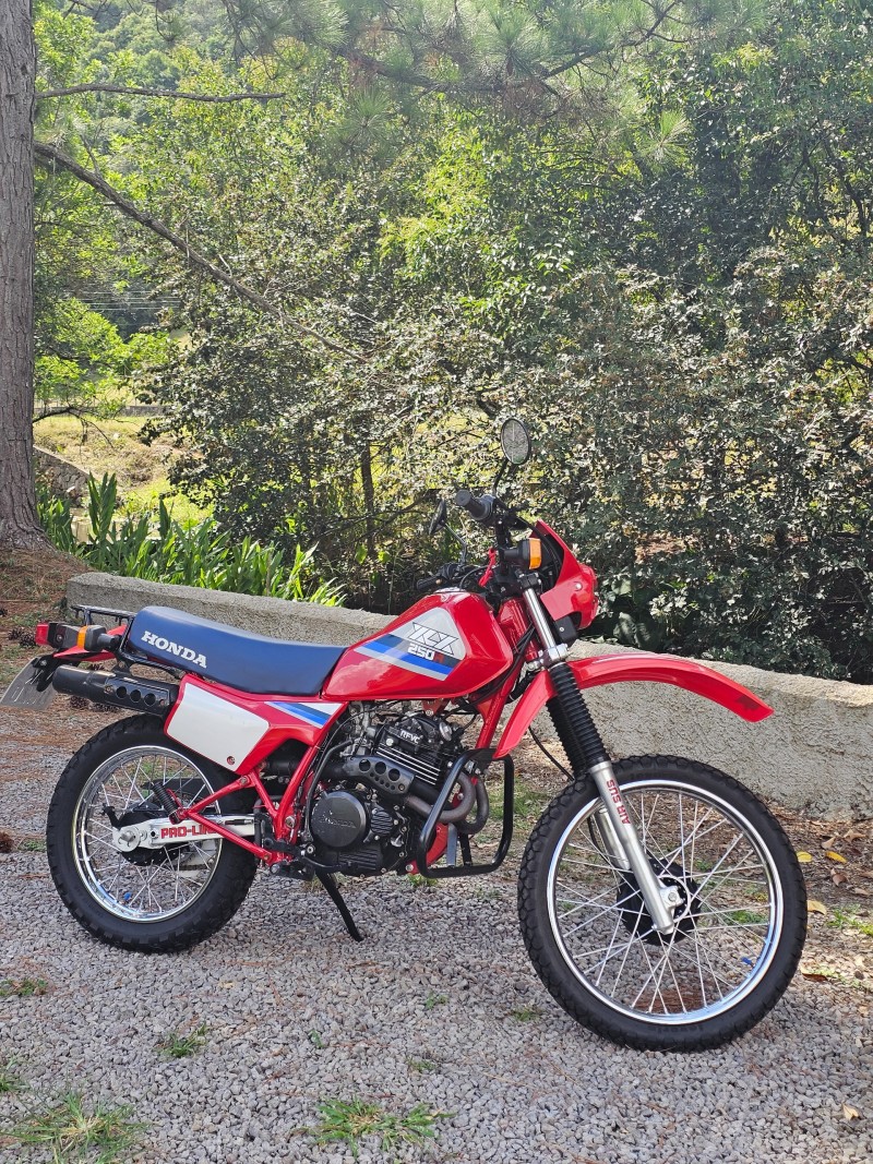 XLX 250R  - 1987 - ANTôNIO PRADO