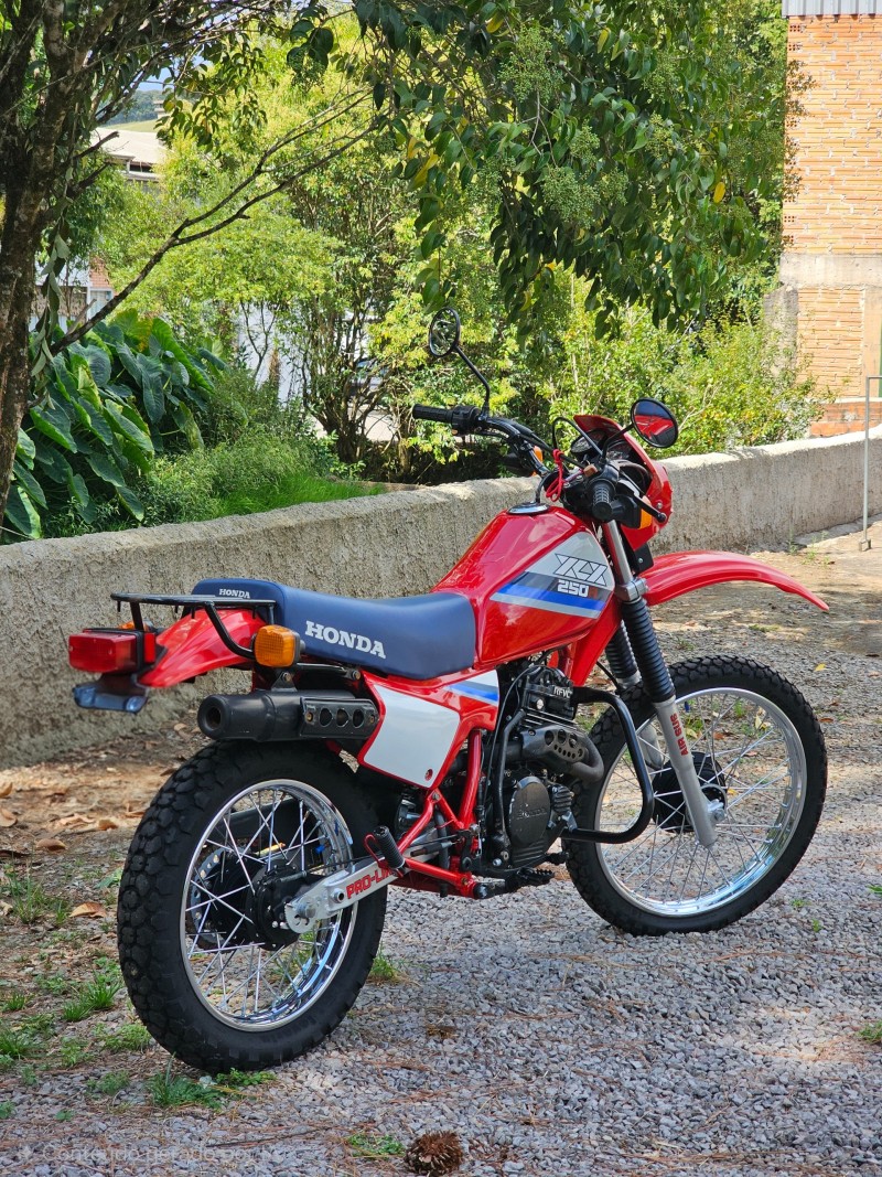 XLX 250R  - 1987 - ANTôNIO PRADO