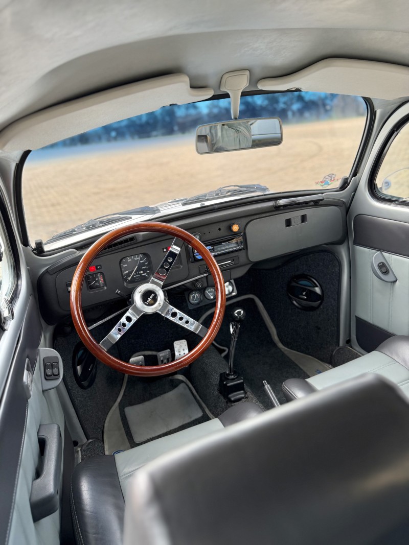 FUSCA 1.6 8V GASOLINA 2P MANUAL - 1995 - ANTôNIO PRADO