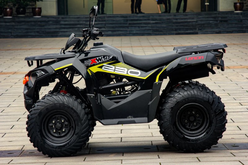 WOLF 550L  - 2026 - VERANóPOLIS